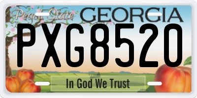 GA license plate PXG8520