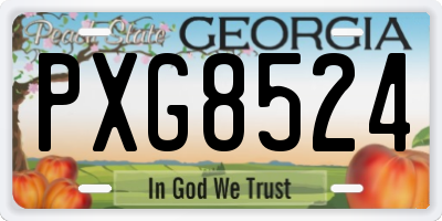 GA license plate PXG8524