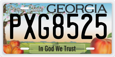 GA license plate PXG8525