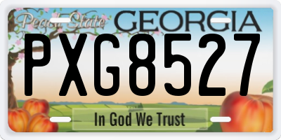 GA license plate PXG8527