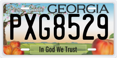 GA license plate PXG8529