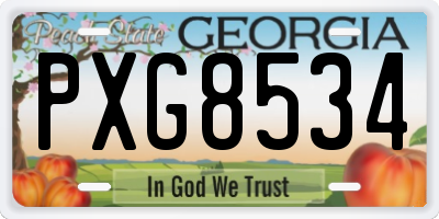 GA license plate PXG8534