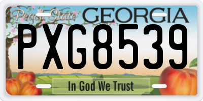 GA license plate PXG8539