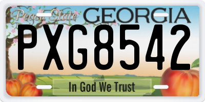 GA license plate PXG8542