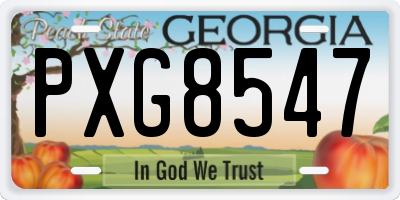 GA license plate PXG8547