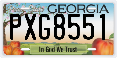 GA license plate PXG8551