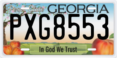 GA license plate PXG8553