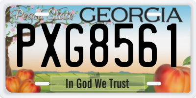 GA license plate PXG8561
