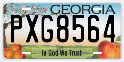 GA license plate PXG8564