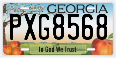 GA license plate PXG8568