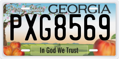 GA license plate PXG8569