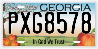 GA license plate PXG8578