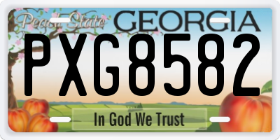 GA license plate PXG8582
