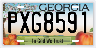 GA license plate PXG8591