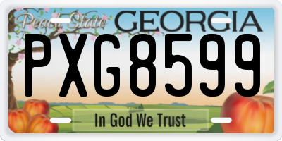 GA license plate PXG8599