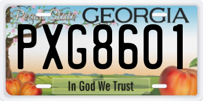 GA license plate PXG8601