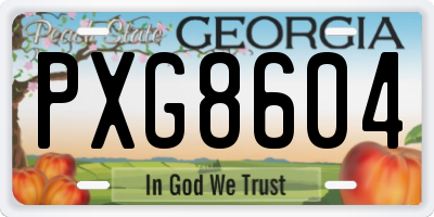 GA license plate PXG8604
