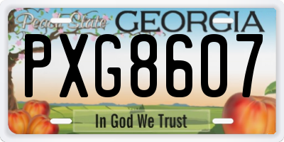 GA license plate PXG8607
