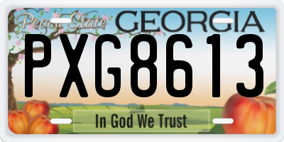 GA license plate PXG8613