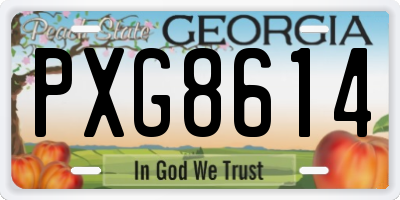 GA license plate PXG8614