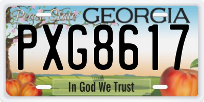 GA license plate PXG8617