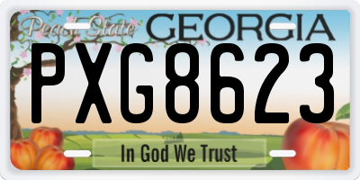 GA license plate PXG8623