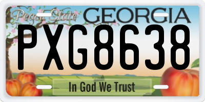 GA license plate PXG8638