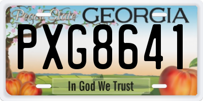 GA license plate PXG8641