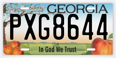 GA license plate PXG8644
