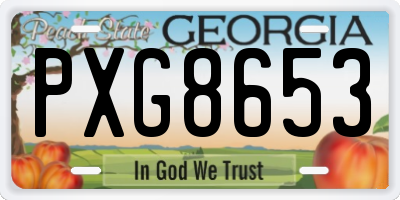 GA license plate PXG8653