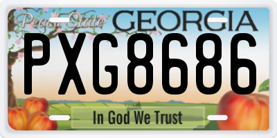 GA license plate PXG8686