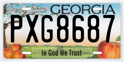 GA license plate PXG8687