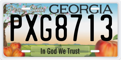 GA license plate PXG8713