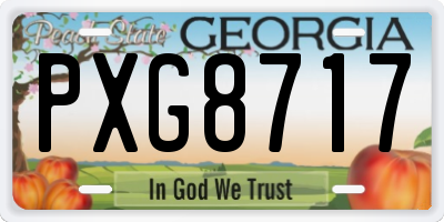 GA license plate PXG8717