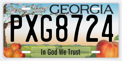 GA license plate PXG8724