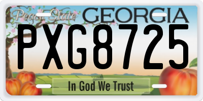 GA license plate PXG8725