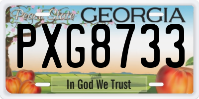 GA license plate PXG8733