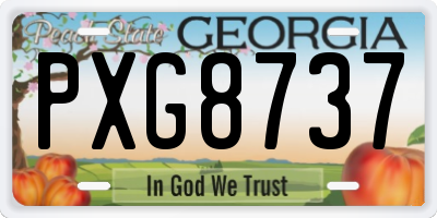 GA license plate PXG8737