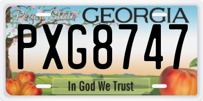 GA license plate PXG8747
