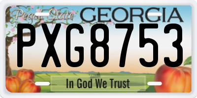 GA license plate PXG8753