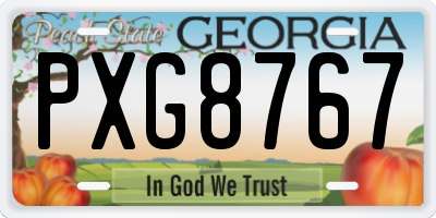 GA license plate PXG8767