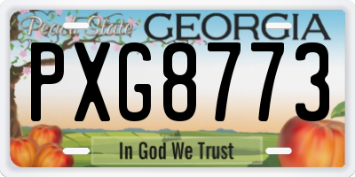 GA license plate PXG8773