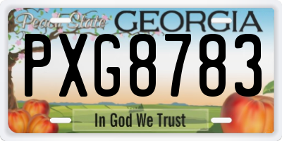 GA license plate PXG8783