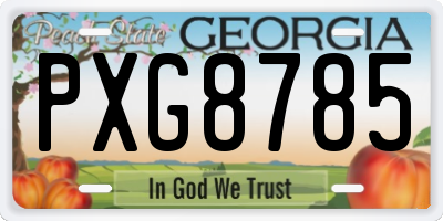 GA license plate PXG8785