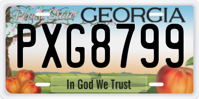 GA license plate PXG8799