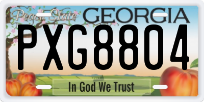 GA license plate PXG8804