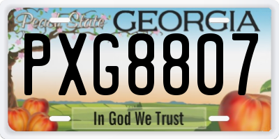GA license plate PXG8807