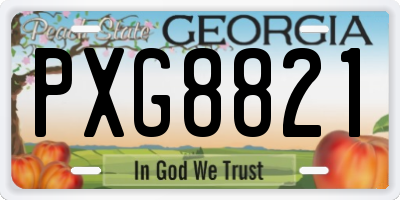 GA license plate PXG8821