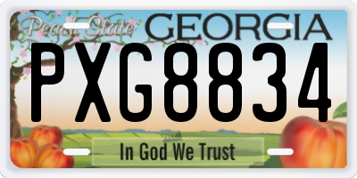 GA license plate PXG8834