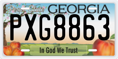 GA license plate PXG8863